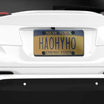 License Plate Protector