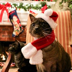 Christmas Decoration Santa Hat with Scarf