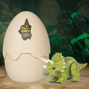 Hatching Egg Dinosaur Toy