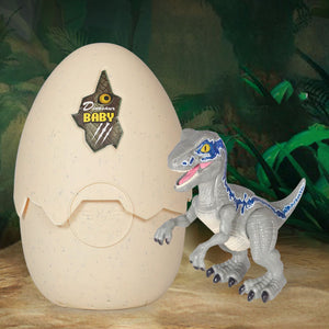 Hatching Egg Dinosaur Toy