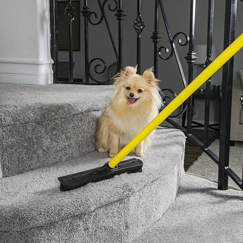 Pet Hair Removal Broom