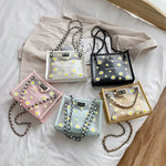 Daisy transparent chain small square bag