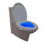 Hirundo 16-Color Motion Sensor LED Toilet Night Light