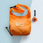 Disc Portable Bag