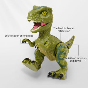 Hatching Egg Dinosaur Toy