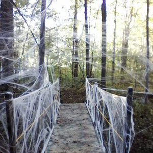 Halloween Decoration Scary Cobwebs