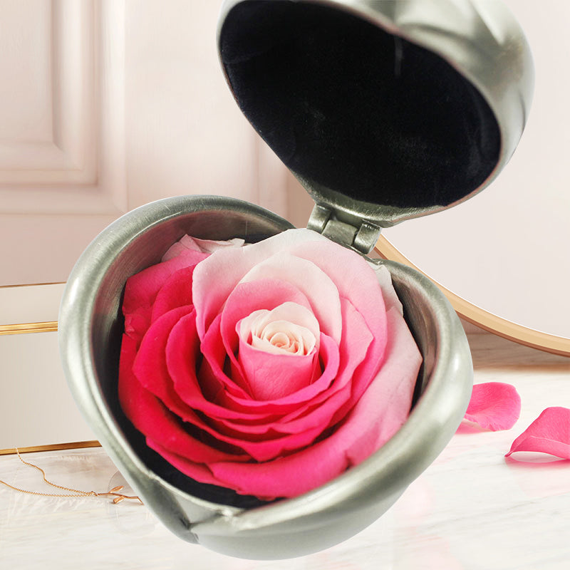 Preserved Flower Rose