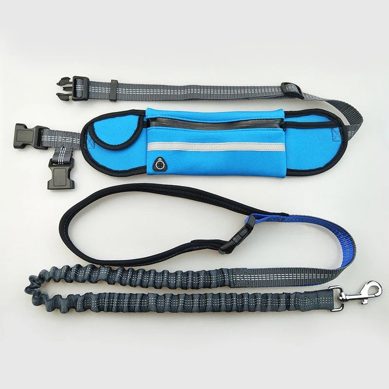 Buddy Bungee Dog Leash