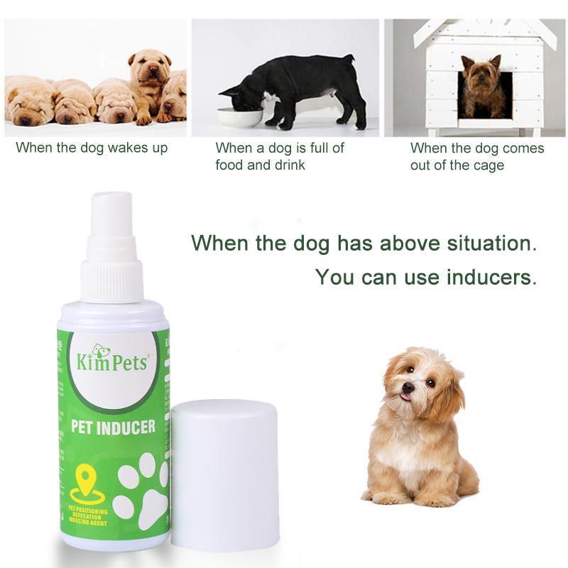 Pet Toilet Training Aid