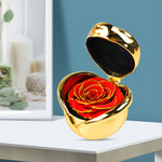 Preserved Flower Rose