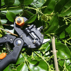 🔩Professional Garden Grafting Tool Kit⚙️