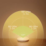 Intelligent human induction LED night light